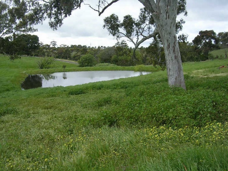 Lot 1/ Springs Road, Mount Barker SA 5251
