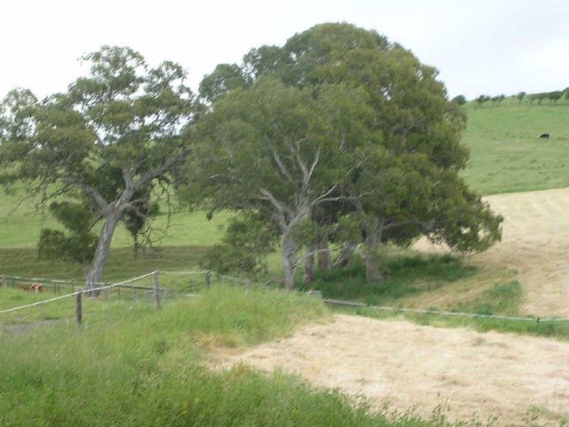 Lot 1/ Springs Road, Mount Barker SA 5251