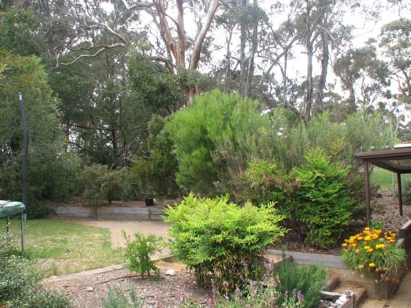 32 Victoria Street, Hahndorf SA 5245