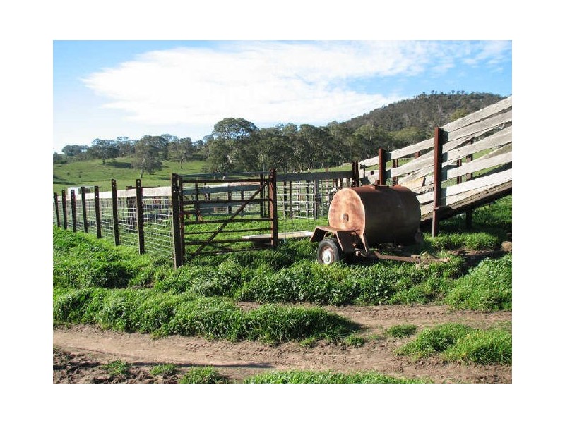 Williams Road, Mount Barker SA 5251