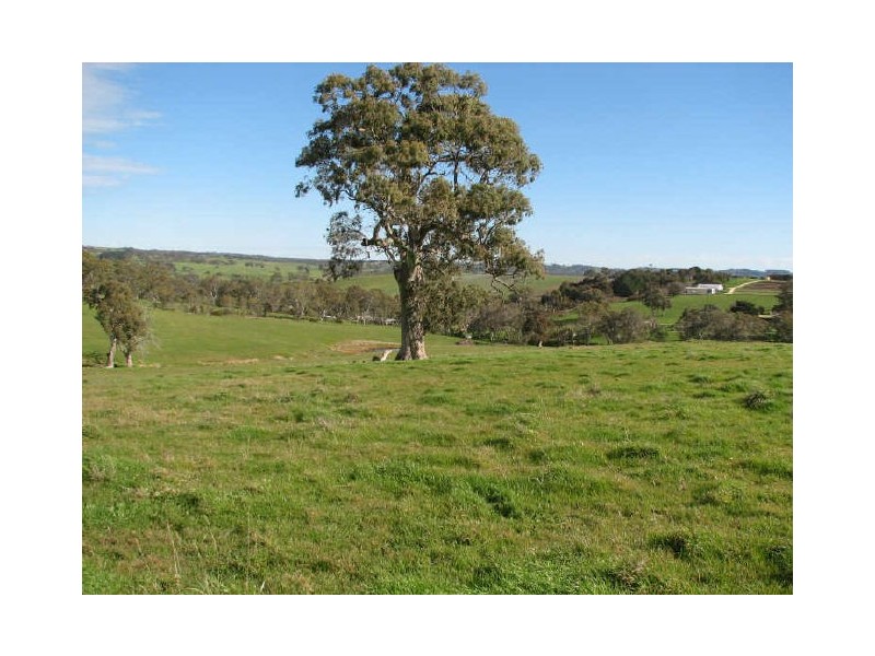 Williams Road, Mount Barker SA 5251