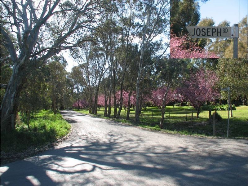 84/ Joseph Road, Blakiston SA 5250