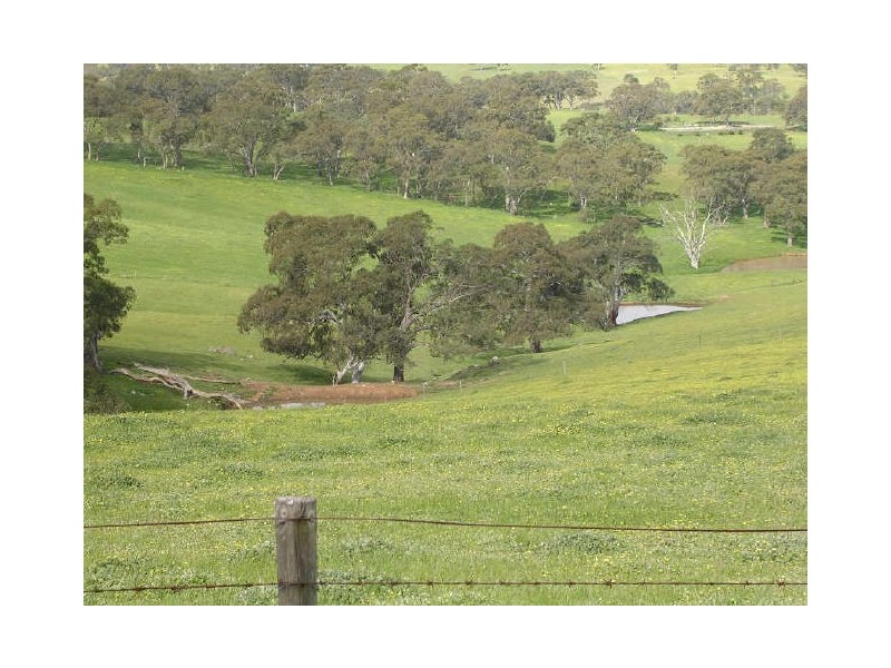 Gemmell Road, Macclesfield SA 5153