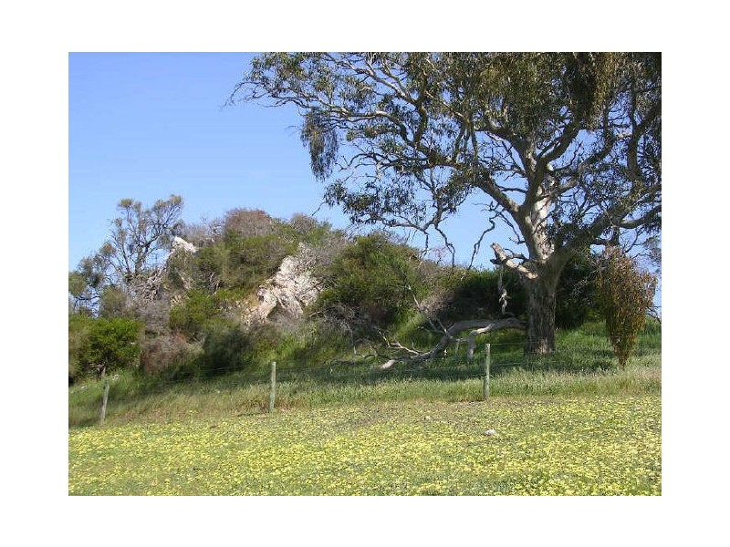 Gemmell Road, Macclesfield SA 5153