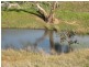 274 Vale Road, Wistow SA 5251