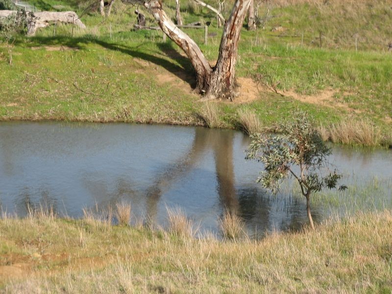 274 Vale Road, Wistow SA 5251