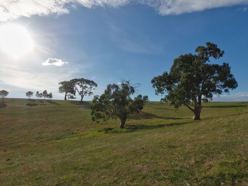 274 Vale Road, Wistow SA 5251