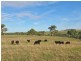 274 Vale Road, Wistow SA 5251