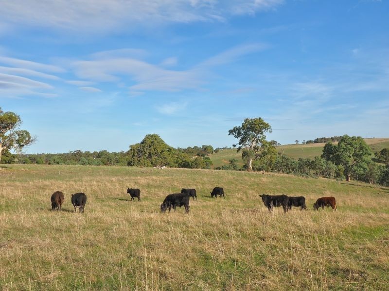 274 Vale Road, Wistow SA 5251