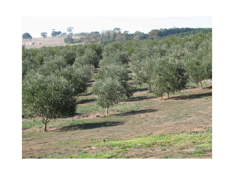 Lot 69 Bald Hills Road, Nairne SA 5252