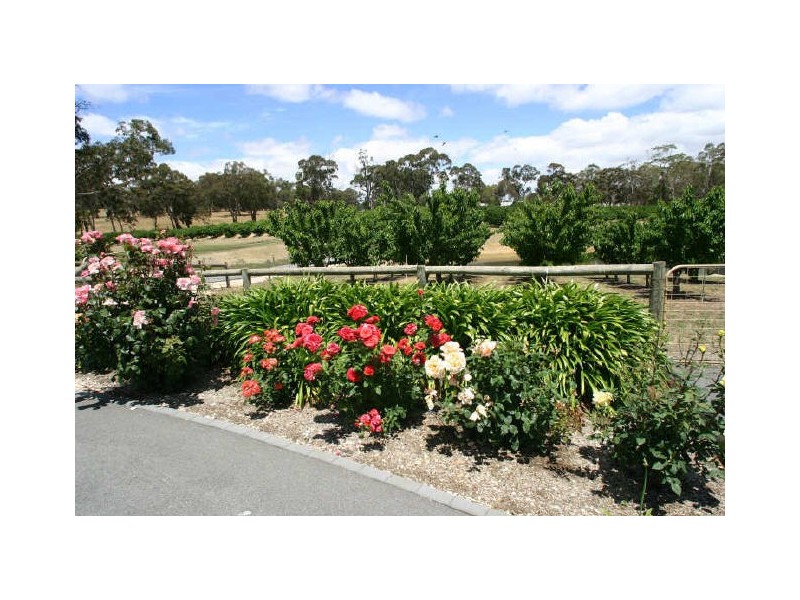 Lot 20 Field Road, Echunga SA 5153