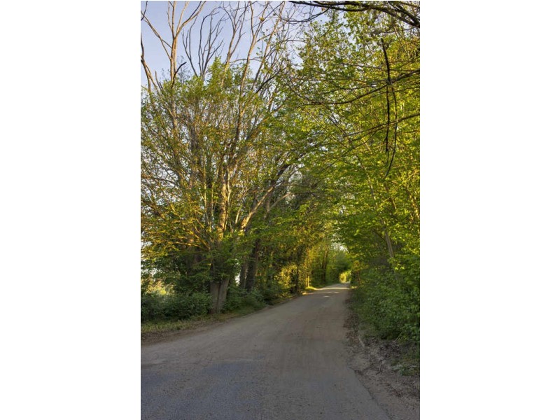 Lot 101 Henry Road, Blakiston SA 5250