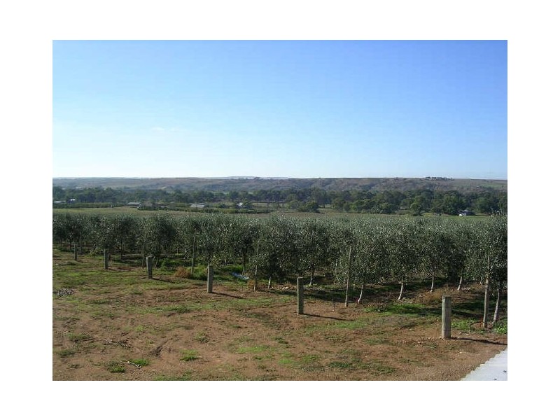 Lot 3 Kallina Road, Mypolonga SA 5254