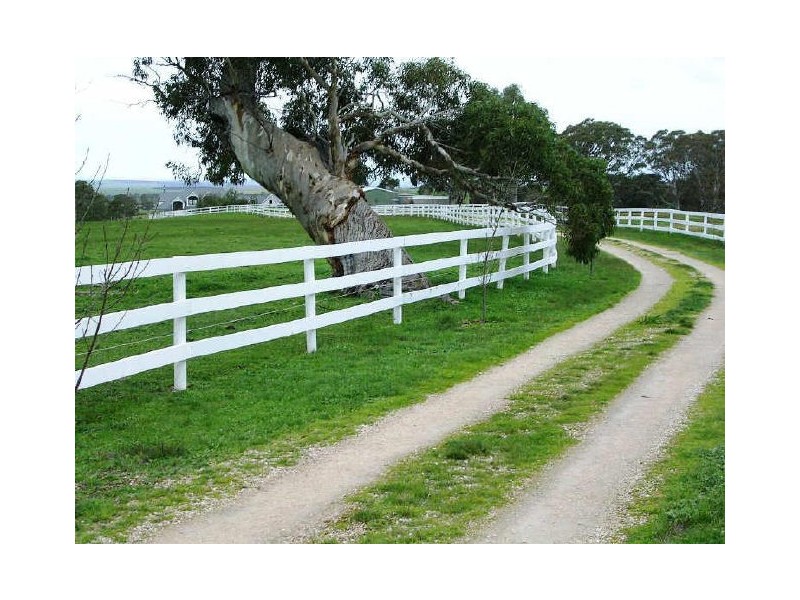 Lot 100/ Hender Road & Hillside Lane, Mount Barker SA 5251