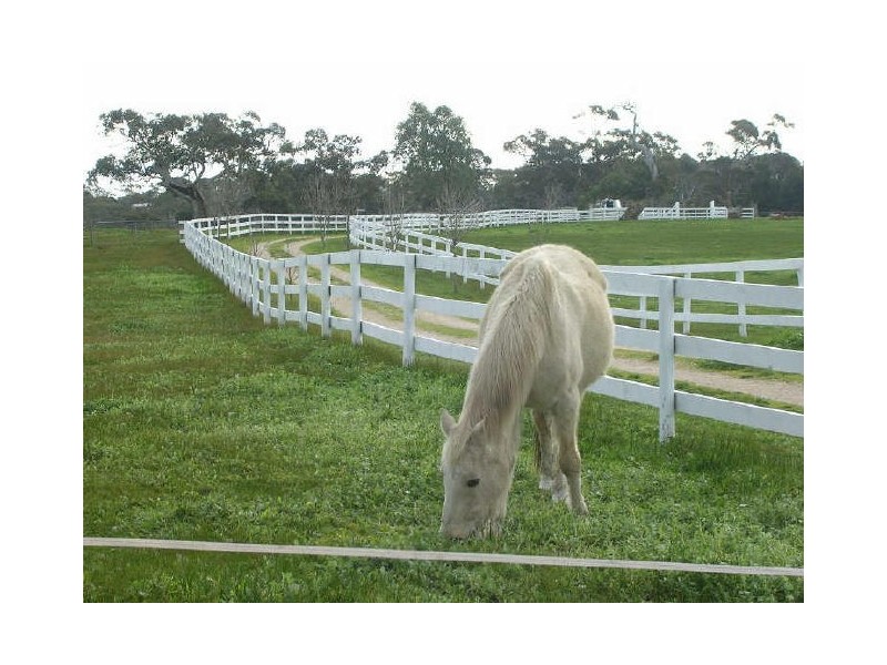 Lot 100/ Hender Road & Hillside Lane, Mount Barker SA 5251