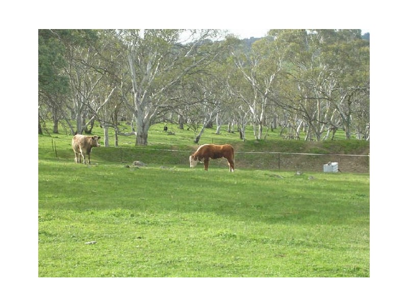 Lot 100/ Hender Road & Hillside Lane, Mount Barker SA 5251