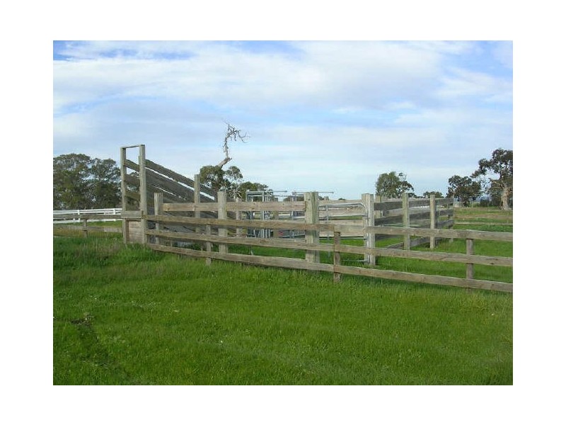 Lot 100/ Hender Road & Hillside Lane, Mount Barker SA 5251