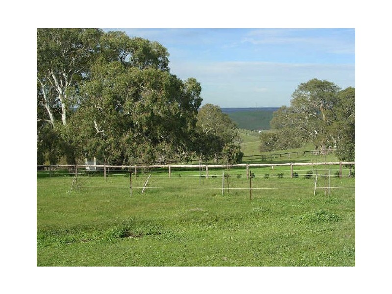 Lot 100/ Hender Road & Hillside Lane, Mount Barker SA 5251