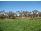 Lot 50 Haigh Court, Strathalbyn SA 5255