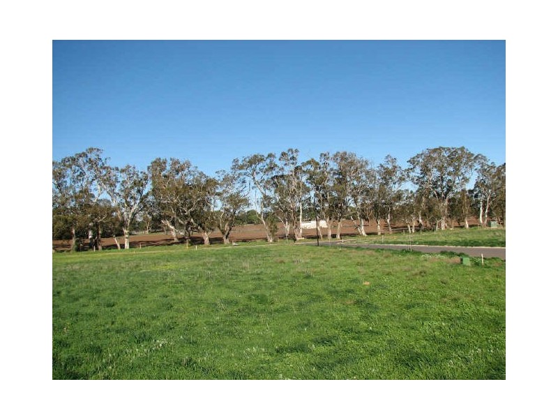 Lot 50 Haigh Court, Strathalbyn SA 5255