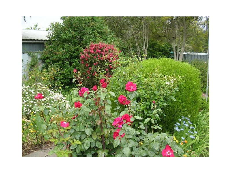 47 Albert Road, Mount Barker SA 5251