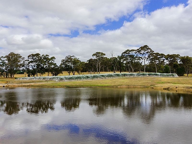 45 Field Road, Echunga SA 5153