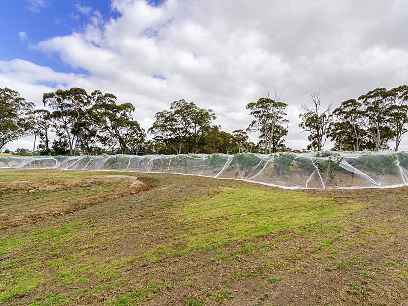 45 Field Road, Echunga SA 5153