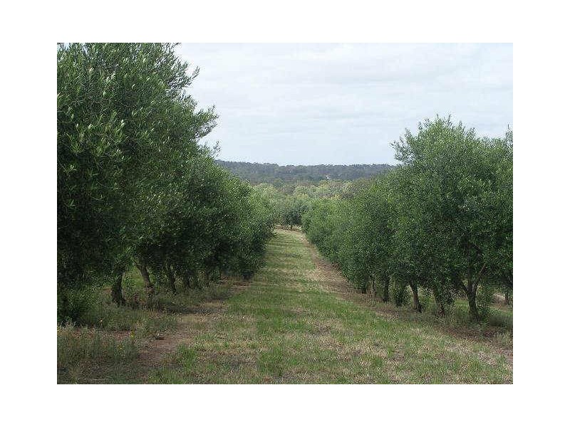 101 Woodcock Road, Balhannah SA 5242