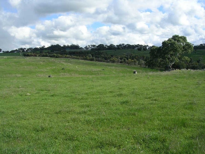 Lot 5/ Archer Hill Road, Wistow SA 5251