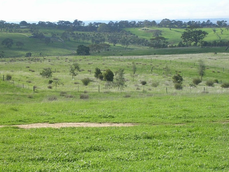 Lot 5/ Archer Hill Road, Wistow SA 5251