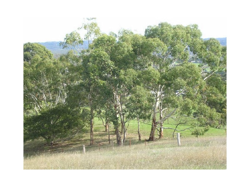Lt 96 Windsor Ave, Hahndorf SA 5245