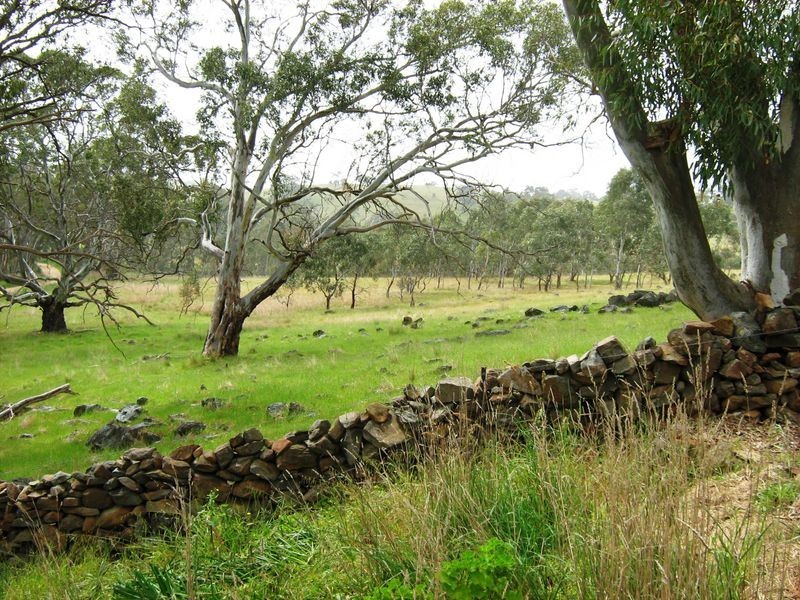 10/ Klenke Road, Wistow SA 5251
