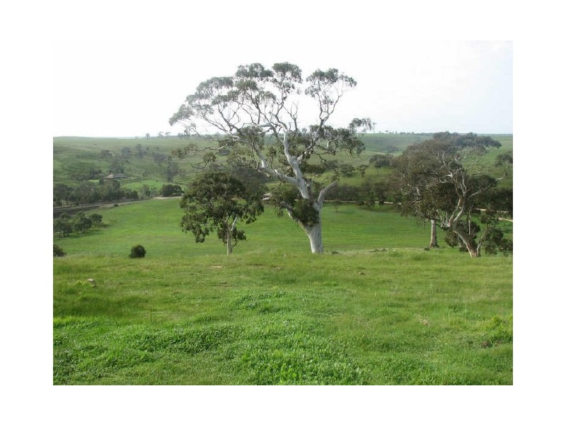Lot 1/ Petwood Road (Ironstone Range Road), Nairne SA 5252