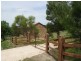 42/ Morning Star Road, Wistow SA 5251