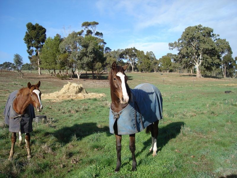 1/ Summit Road Symmetry, Nairne SA 5252