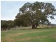 1/ Summit Road Symmetry, Nairne SA 5252
