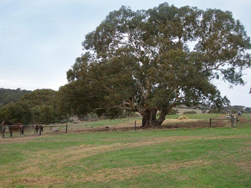 1/ Summit Road Symmetry, Nairne SA 5252