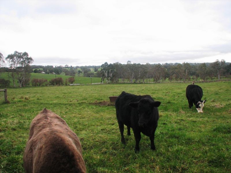798 Aldgate/Strathalbyn Rd, Mylor SA 5153