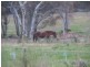 798 Aldgate/Strathalbyn Rd, Mylor SA 5153