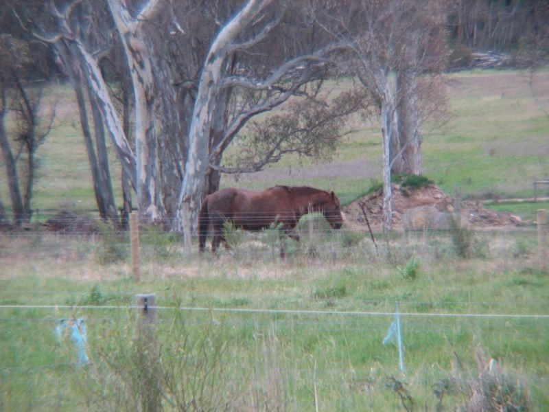 798 Aldgate/Strathalbyn Rd, Mylor SA 5153