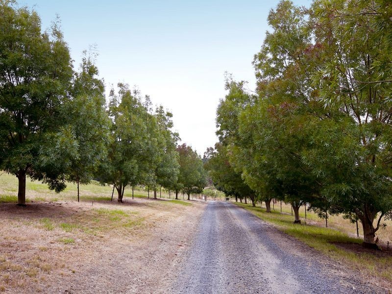 282 Old Mount Barker Road, Echunga SA 5153