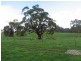 83/ Joseph Court, Littlehampton SA 5250