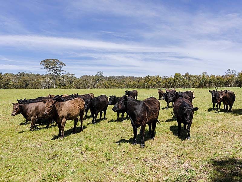 11 Oinns Road, Echunga SA 5153