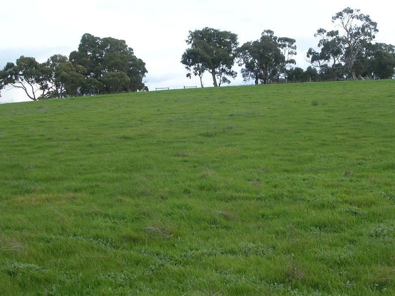 21/ Archer Hill Road, Wistow SA 5251