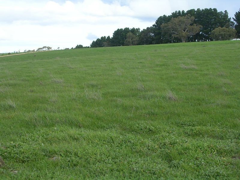 21/ Archer Hill Road, Wistow SA 5251