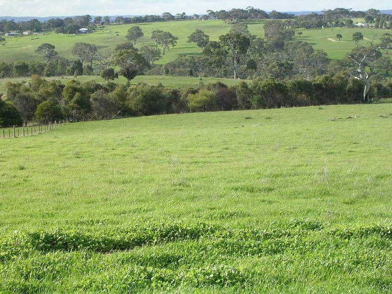 21/ Archer Hill Road, Wistow SA 5251