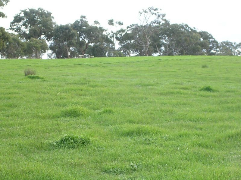 21/ Archer Hill Road, Wistow SA 5251