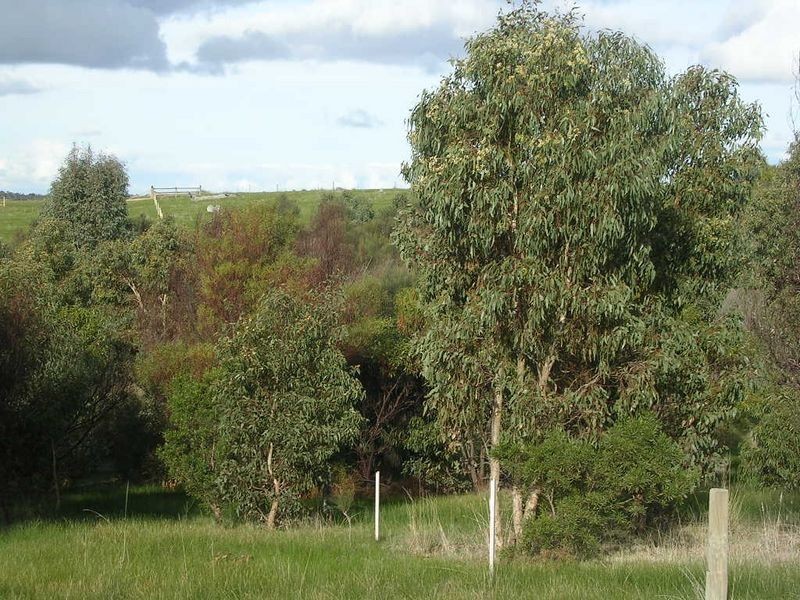 21/ Archer Hill Road, Wistow SA 5251