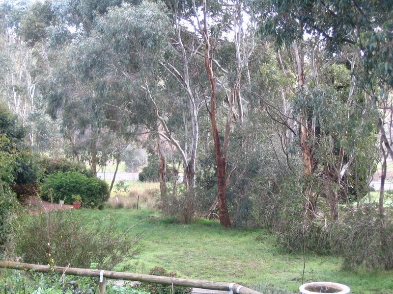 Hahndorf SA 5245