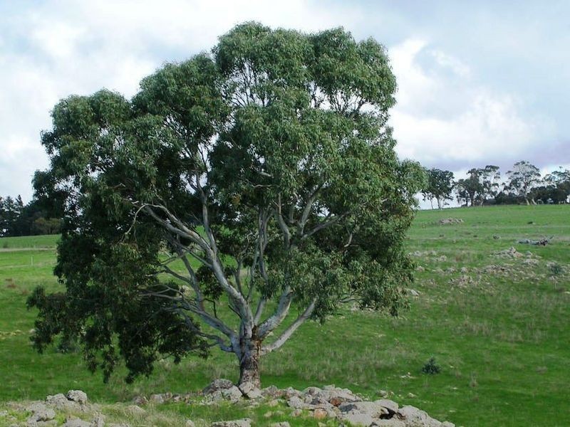 23/ Archer Hill Road, Wistow SA 5251